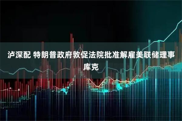 泸深配 特朗普政府敦促法院批准解雇美联储理事库克