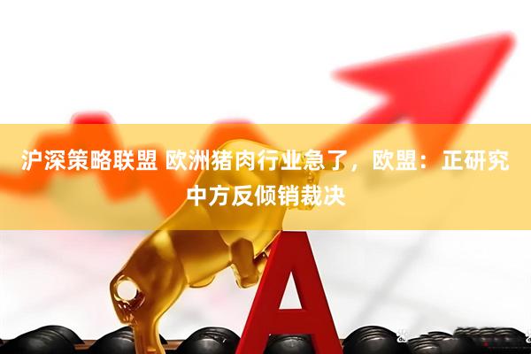 沪深策略联盟 欧洲猪肉行业急了，欧盟：正研究中方反倾销裁决