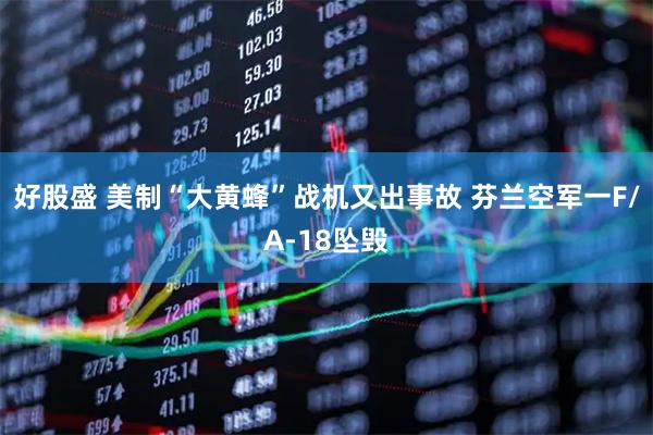 好股盛 美制“大黄蜂”战机又出事故 芬兰空军一F/A-18坠毁