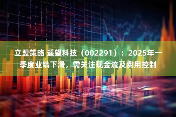 立盟策略 遥望科技（002291）：2025年一季度业绩下滑，需关注现金流及费用控制