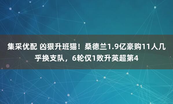 集采优配 凶狠升班猫！桑德兰1.9亿豪购11人几乎换支队，6轮仅1败升英超第4
