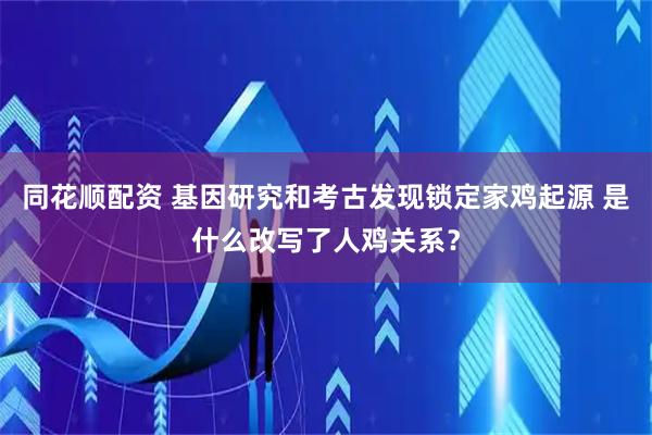 同花顺配资 基因研究和考古发现锁定家鸡起源 是什么改写了人鸡关系？