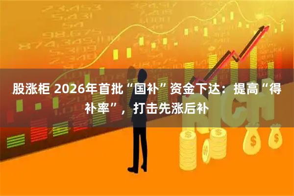 股涨柜 2026年首批“国补”资金下达：提高“得补率”，打击先涨后补