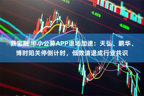 鼎宝融 中小公募APP退场加速:天弘、鹏华、博时陷关停倒计时,低效清退成行业共识